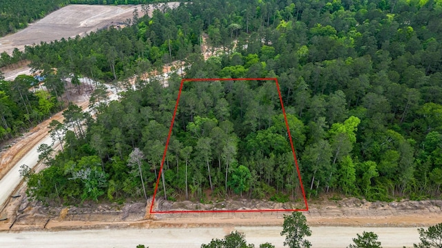 15583 Wood Grove Way, Willis, TX 77378