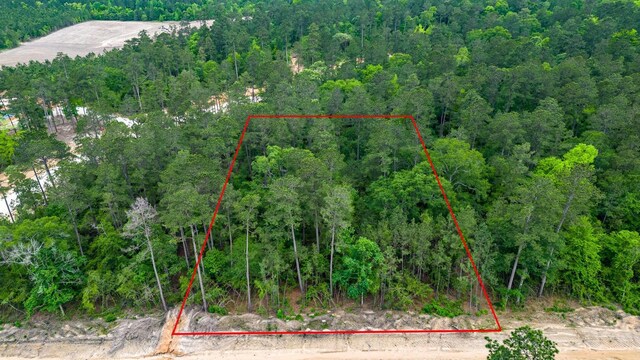15583 Wood Grove Way, Willis, TX 77378