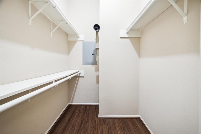 spacious closet featuring electric panel and wood finished floors