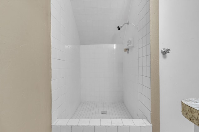 14911 Wunderlich Dr Unit 609, Houston, TX 77069 - bathroom with tiled shower