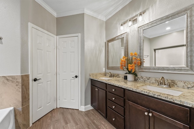 bathroom with a sink, crown molding, and wood finished floors