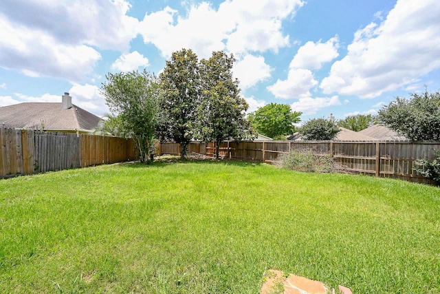 21111 Diamond Rock Ct, Katy, TX 77449 - view of yard