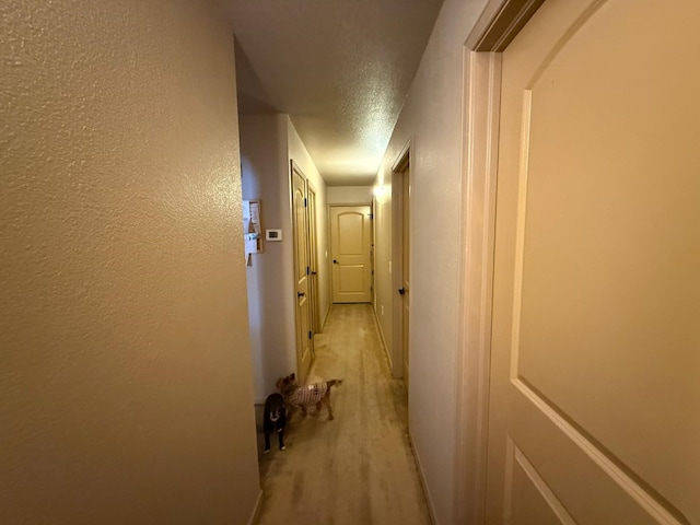corridor with a textured ceiling and a textured wall