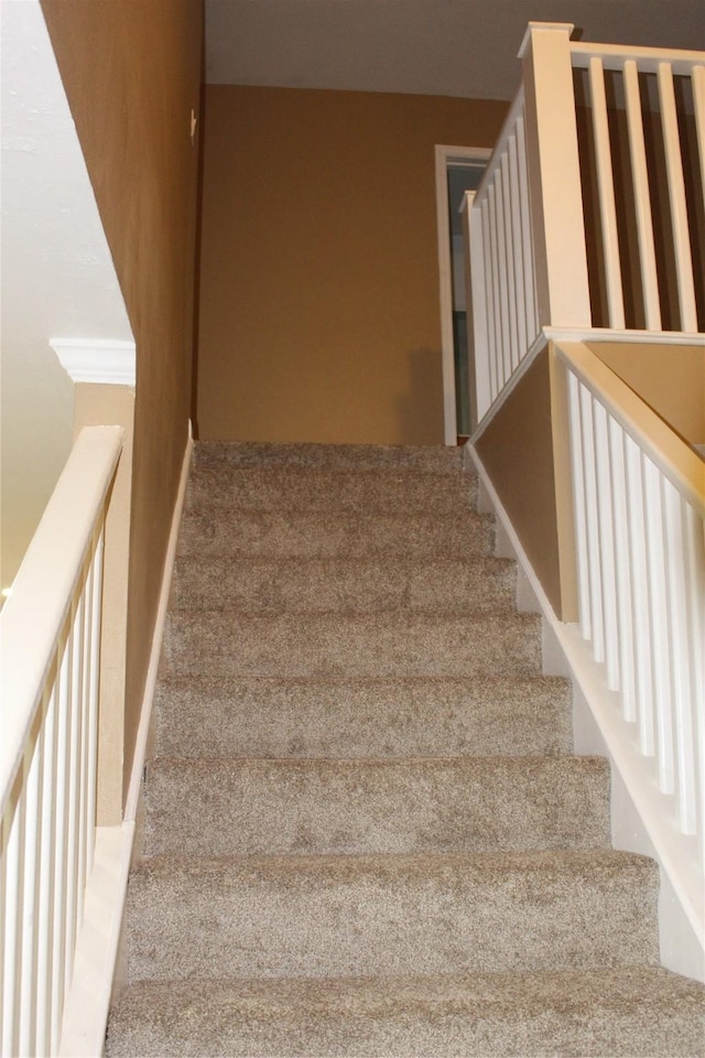 stairway featuring carpet floors