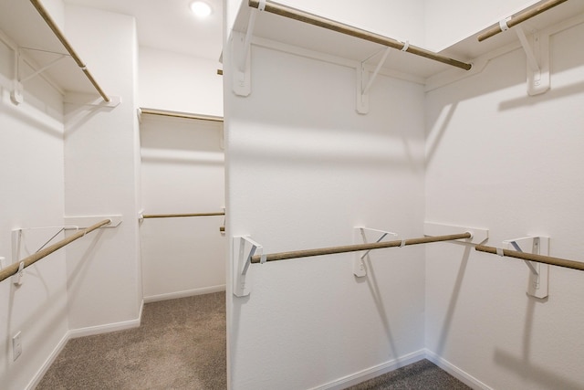 7634 Wrightwood Dr, Pasadena, TX 77505 - walk in closet with carpet flooring