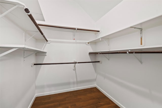 22022 Bridgestone Hawk Ct, Spring, TX 77388 - walk in closet featuring dark wood finished floors