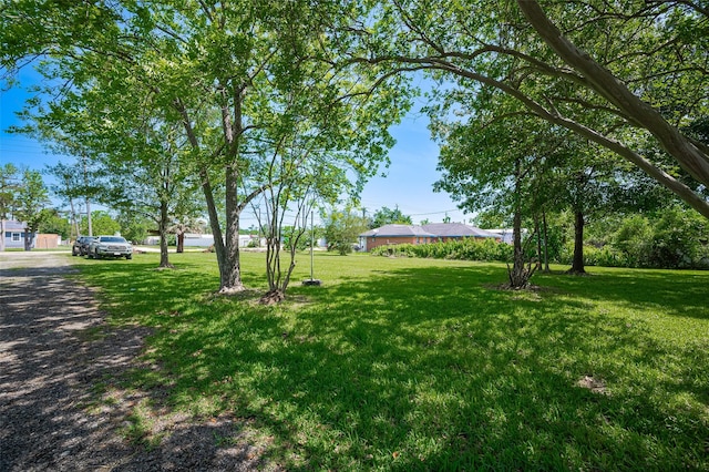 161281/2 Ridlon St, Channelview, TX 77530 - view of green lawn