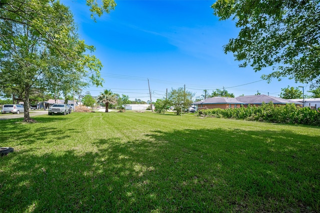 161281/2 Ridlon St, Channelview, TX 77530 - view of green lawn