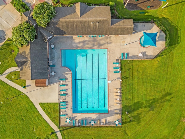 bird's eye view of a pool