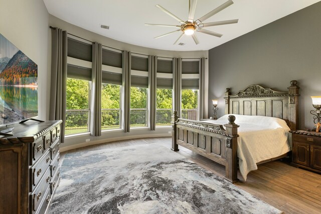 8642 Burdekin Rd, Magnolia, TX 77354 - bedroom with multiple windows, wood finished floors, and ceiling fan