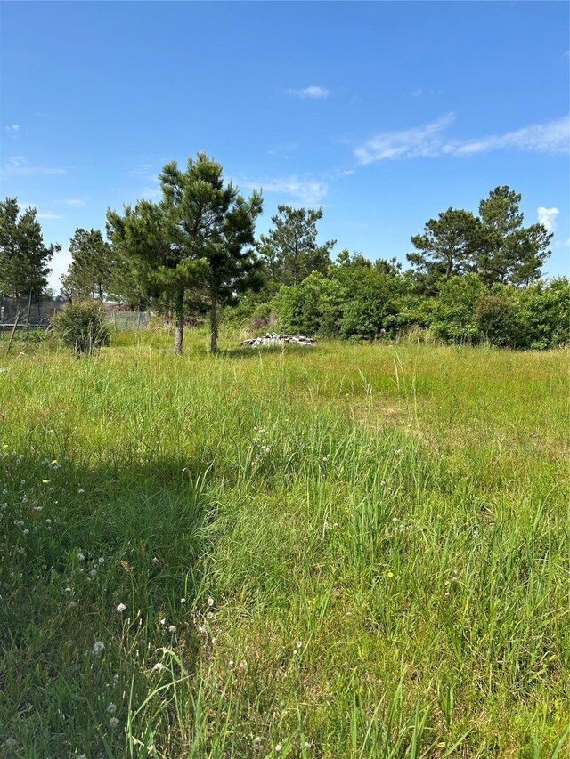 301 Rd 5232, Cleveland, TX 77327 - view of landscape