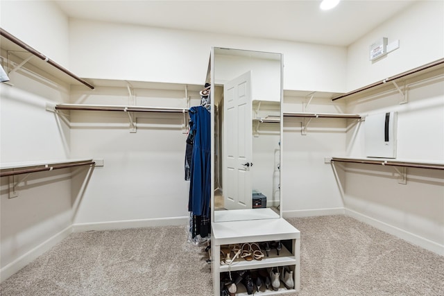 6210 Cibola Park Ln, Houston, TX 77041 - photo 26