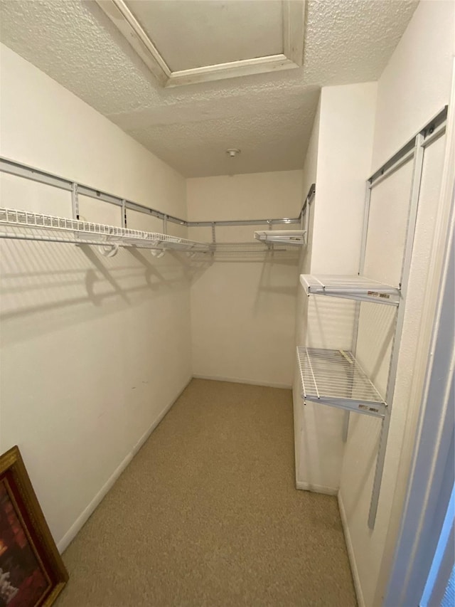 walk in closet with attic access and carpet flooring