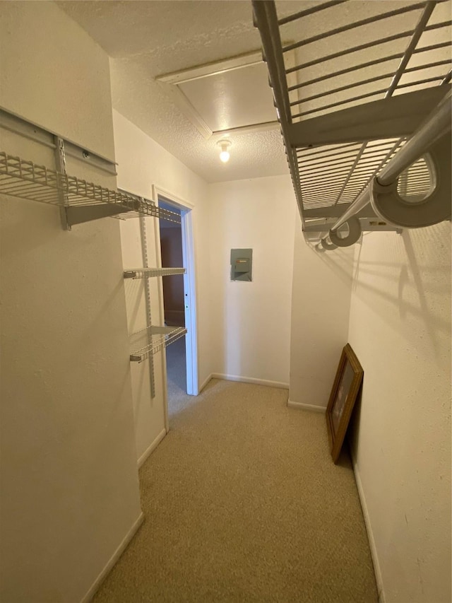 walk in closet featuring electric panel and light carpet
