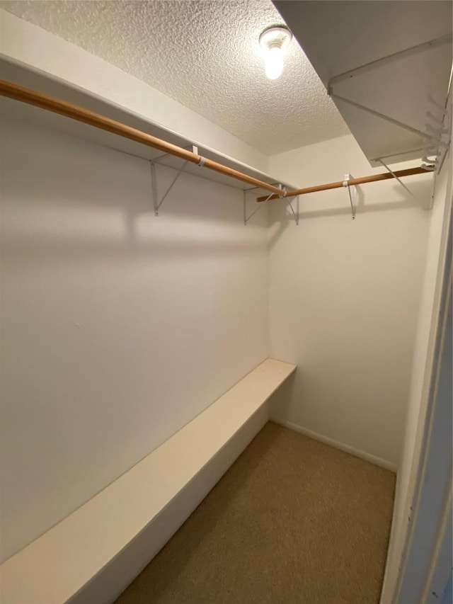 walk in closet with carpet