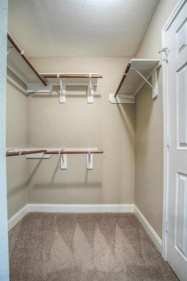 1634 Topaz Trl, Willis, TX 77378 - spacious closet with carpet floors