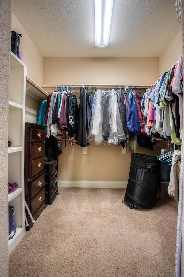 1634 Topaz Trl, Willis, TX 77378 - walk in closet with carpet