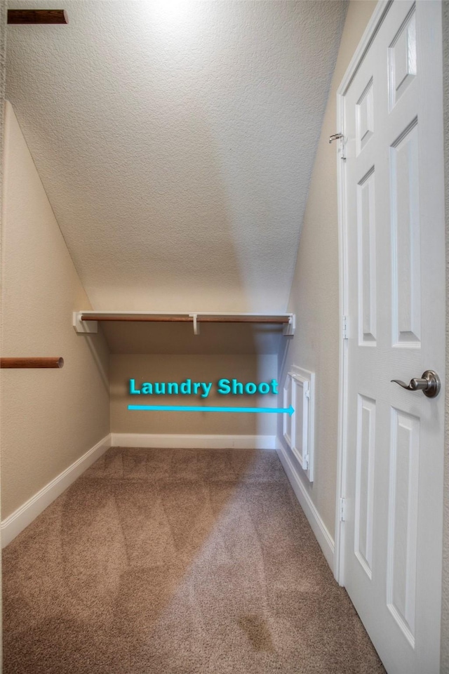 1634 Topaz Trl, Willis, TX 77378 - walk in closet with carpet flooring