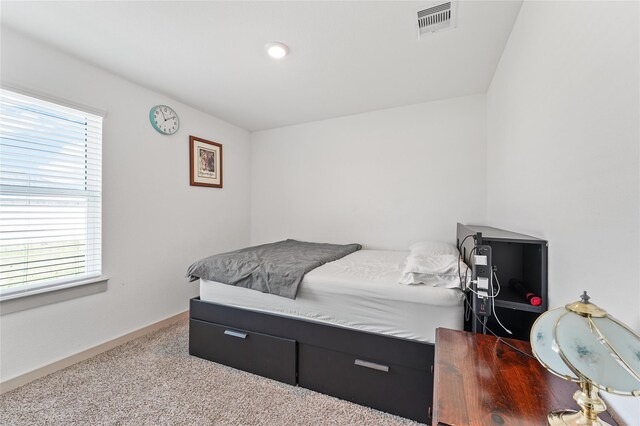 30102 Reagans Ranch Dr, Katy, TX 77494 - carpeted bedroom with multiple windows and visible vents