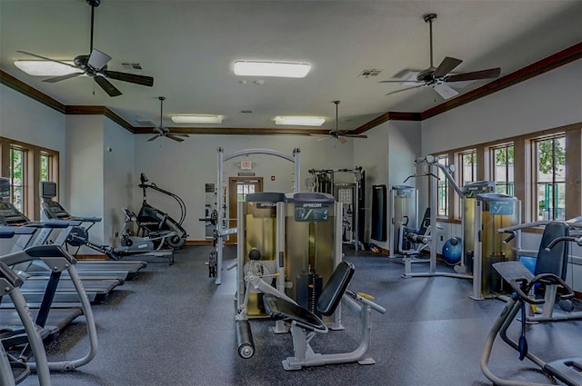 4803 Birch Grove Dr, Fulshear, TX 77441 - gym featuring ornamental molding, a ceiling fan, plenty of natural light, and baseboards