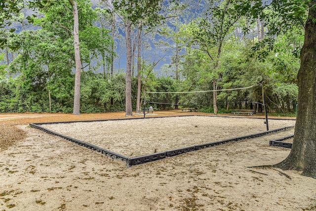surrounding community with volleyball court