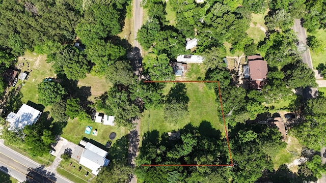 211 C St, Livingston, TX 77351 - photo 2