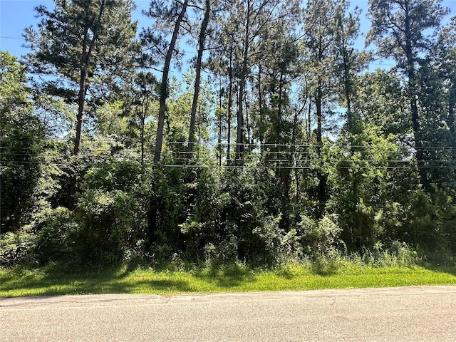1815 Black Bear Dr, Houston, TX 77532