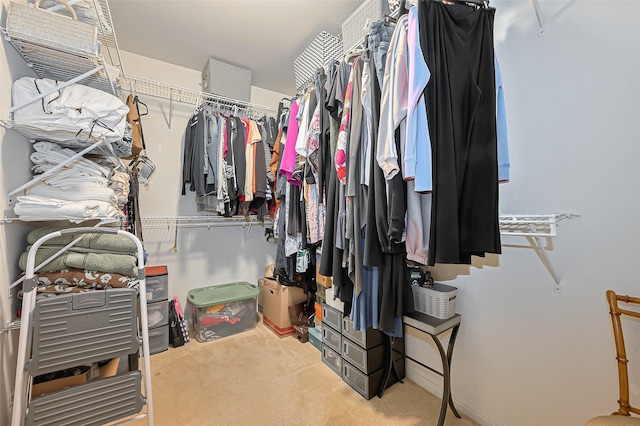 10406 Nickel Grove Dr, Houston, TX 77095 - spacious closet featuring carpet floors