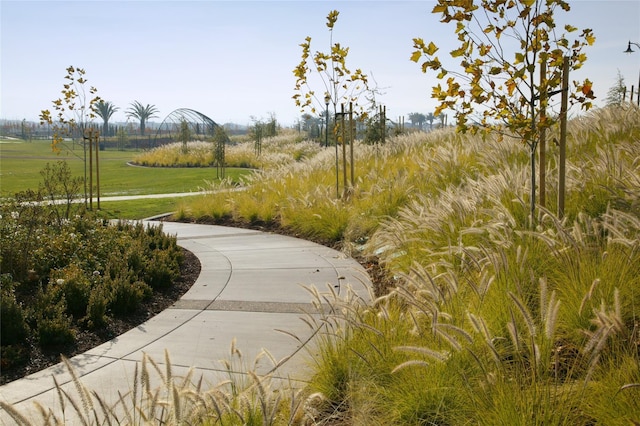 view of property's community