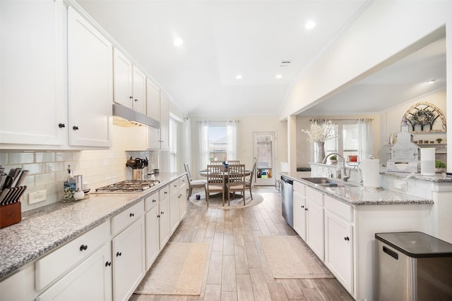 kitchen with a sink, appliances with stainless steel finishes, under cabinet range hood, healthy amount of natural light, and recessed lighting