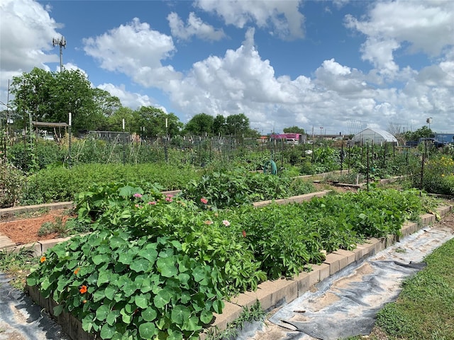 surrounding community with a garden