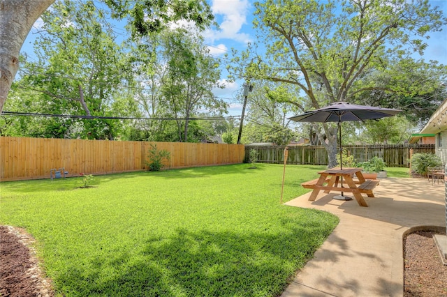 view of yard with a patio and a fenced backyard