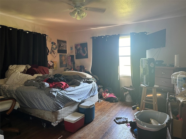 13907 Mueck Rd, Needville, TX 77461 - photo 10