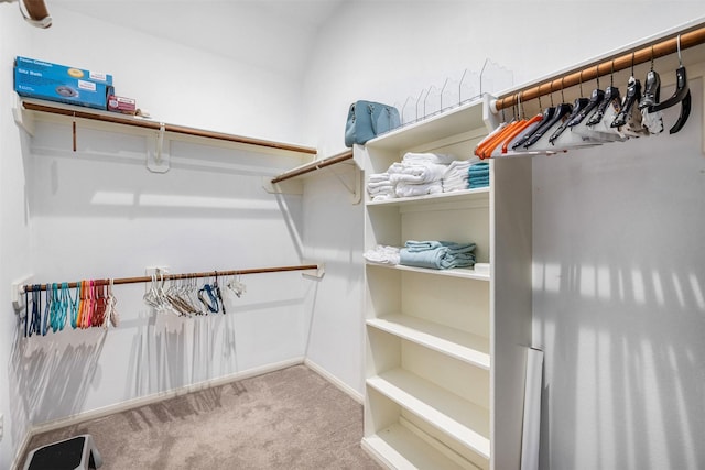 19231 Kelly Pines Ct, Humble, TX 77346 - spacious closet with carpet flooring