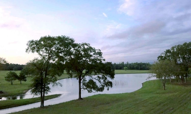 15229 Forest Grove Dr, Willis, TX 77378