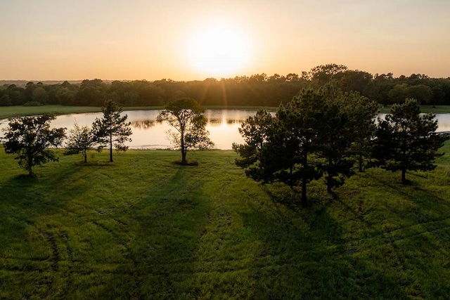 15229 Forest Grove Dr, Willis, TX 77378