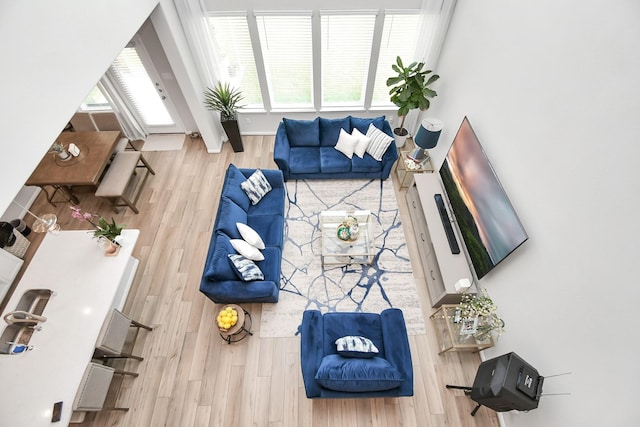 living area with wood finished floors