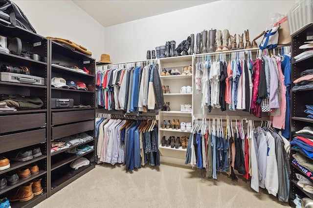 walk in closet featuring carpet floors