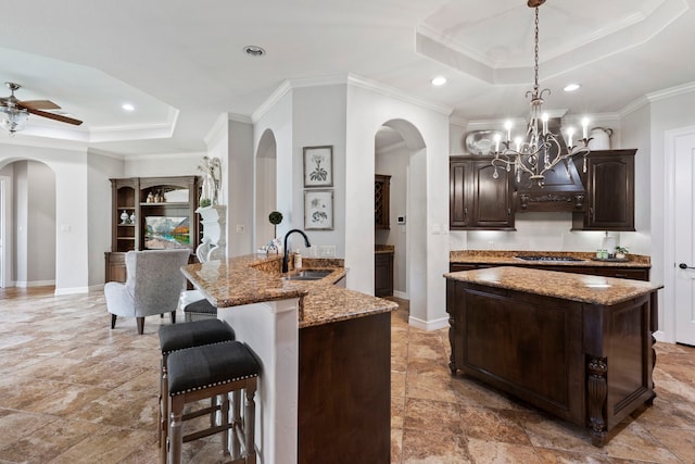 8483 Majestic Lake Ct, Montgomery, TX 77316 - kitchen with arched walkways, baseboards, a tray ceiling, and a sink