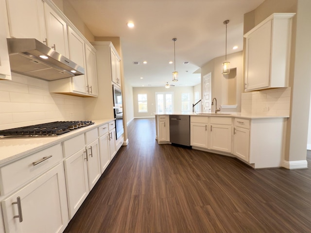 1111 Robbie St, Houston, TX 77009 - kitchen featuring under cabinet range hood, stainless steel appliances, a sink, recessed lighting, and dark wood-style floors