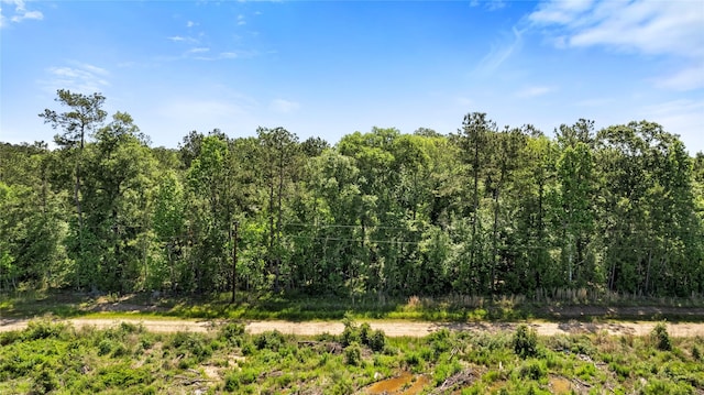 1591 County Road 2293, Cleveland, TX 77327 - photo 5