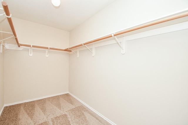 19826 Seagler Glen Ln, Katy, TX 77449 - walk in closet featuring light colored carpet