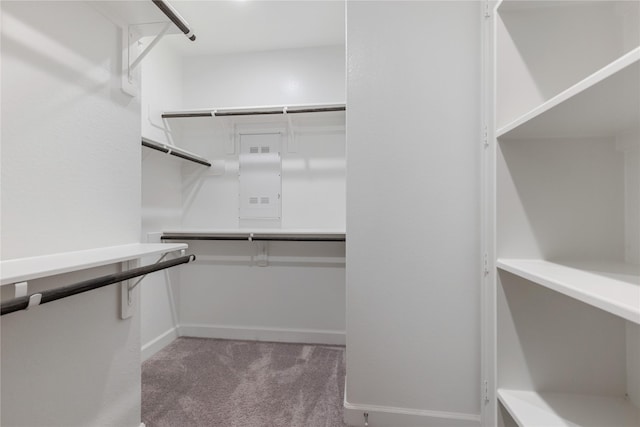 318 Mistletoe Ridge Ct, Montgomery, TX 77316 - spacious closet featuring carpet flooring