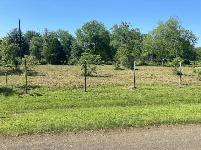 11802 Joyce Ln, Needville, TX 77461 - photo 1