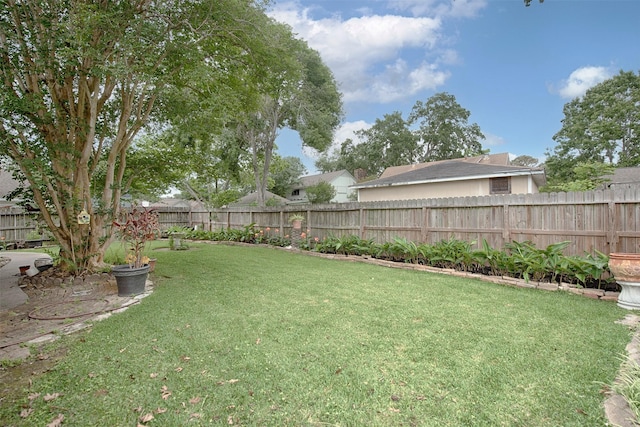 view of yard with a fenced backyard