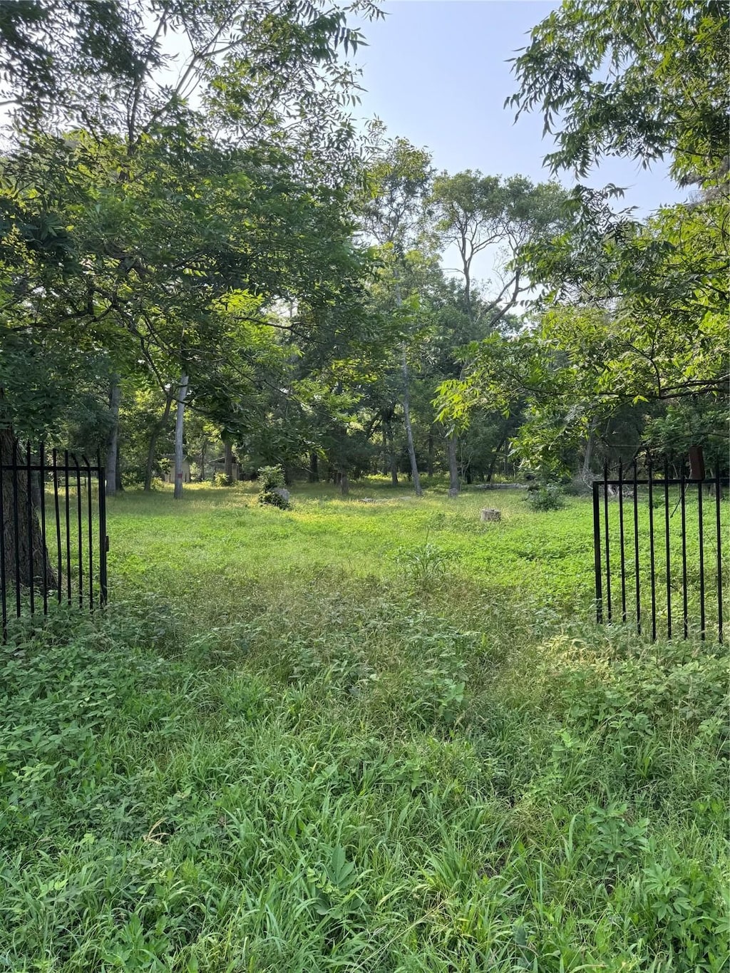 0 Tierra Grande Dr, Needville, TX 77461