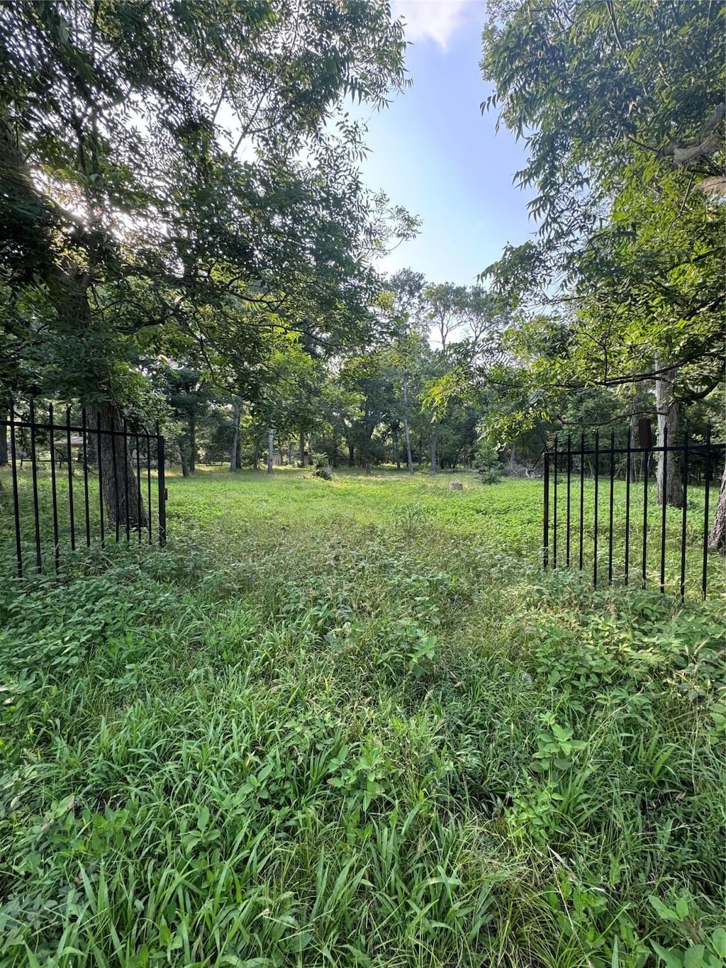 0 Tierra Grande Dr, Needville, TX 77461