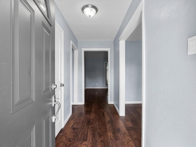 1922 Tracy Lynn Ln, Alvin, TX 77511 - hallway with wood finished floors and baseboards