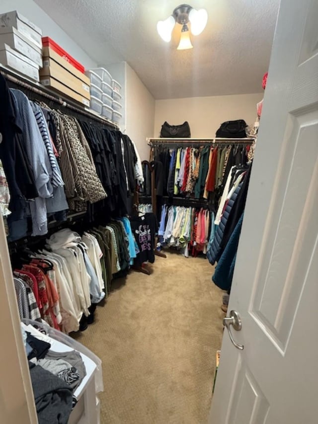 walk in closet with carpet