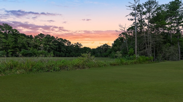 1549 Silver Creek Ln, Montgomery, TX 77316 - view of yard with a forest view